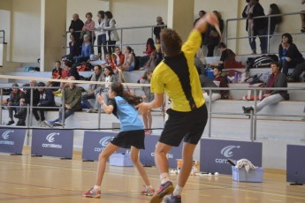 badminton-2jpg