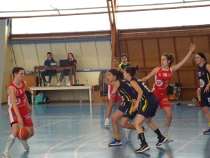 basket féminin ploërmel (13)